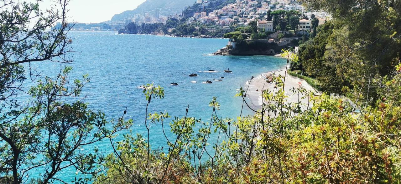 Vue Magnifique, Piscine Privee Chauffee Et Sauna A 10Min De Monaco Roquebrune-Cap-Martin Kültér fotó